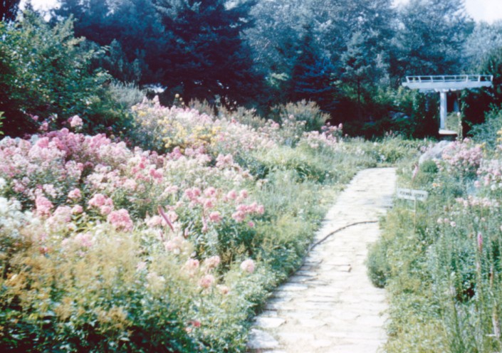 perennial_garden_01 The Perennial Garden. Date unknown.